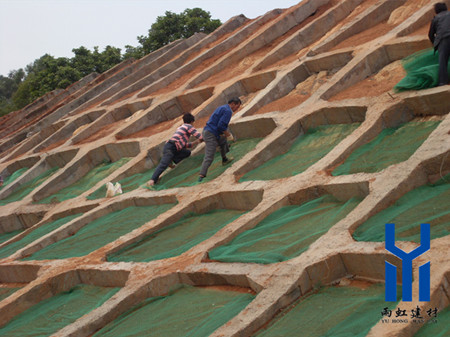 京滬高速中三維土工網墊